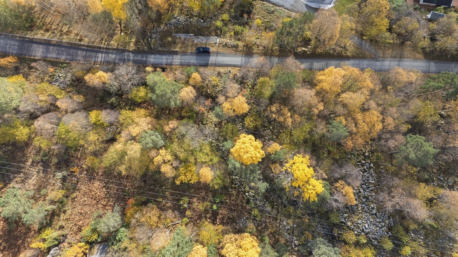 Tomta har rett til å opparbeide veg frå offentleg veg og fram til tomtegrensa Galleribilde