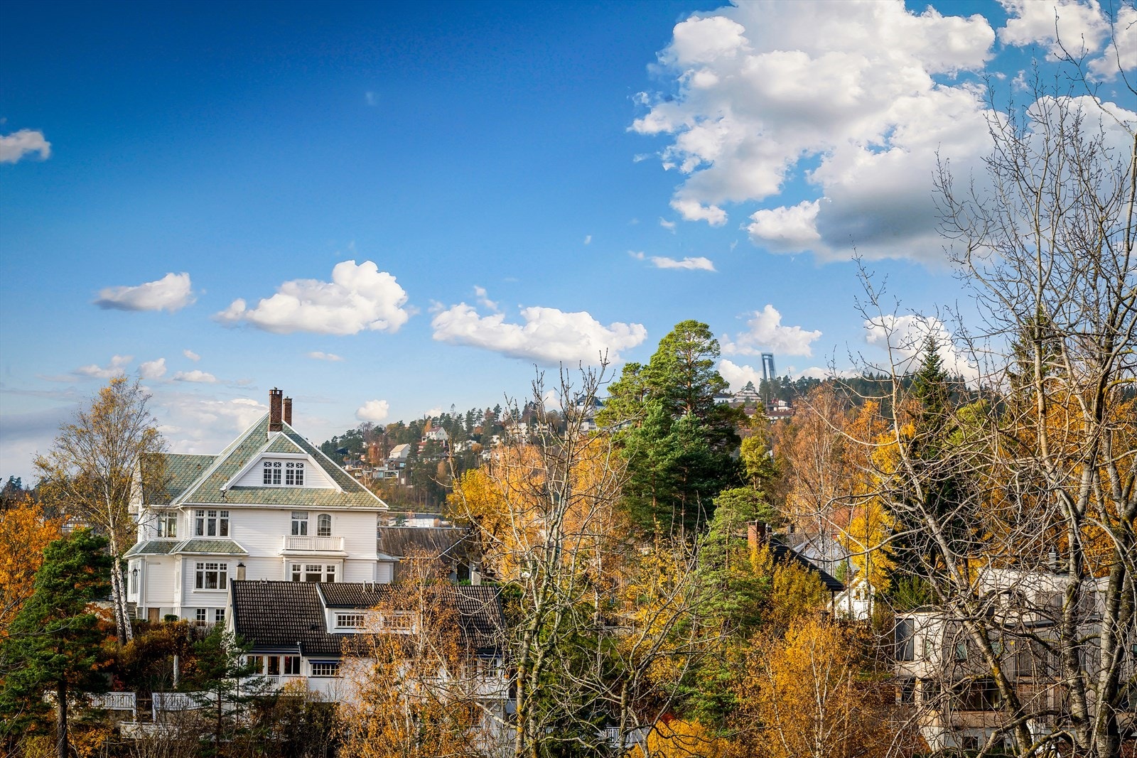 Fra takterrassen er det utsikt mot Holmenkollen Galleribilde