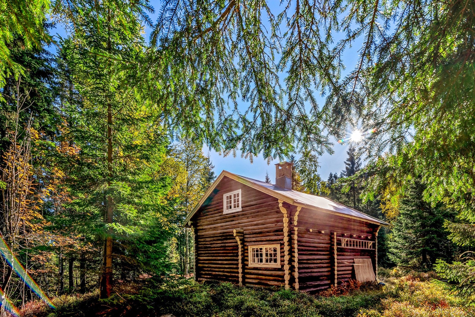 Flotte bær- og soppmuligheter rett på utsiden av døren! Galleribilde