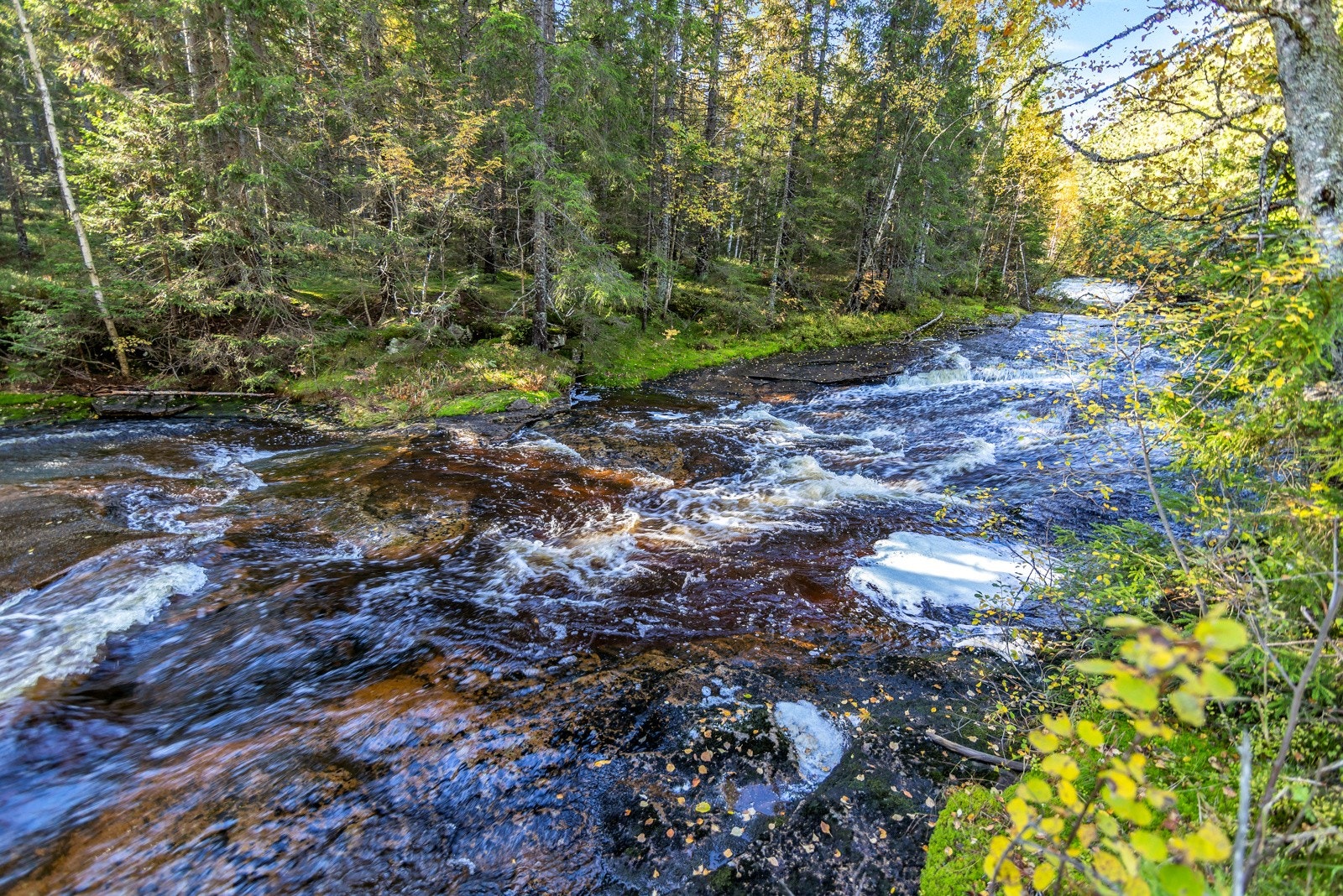 Tidligere skjedde tømmerflytting i denne åen. Galleribilde