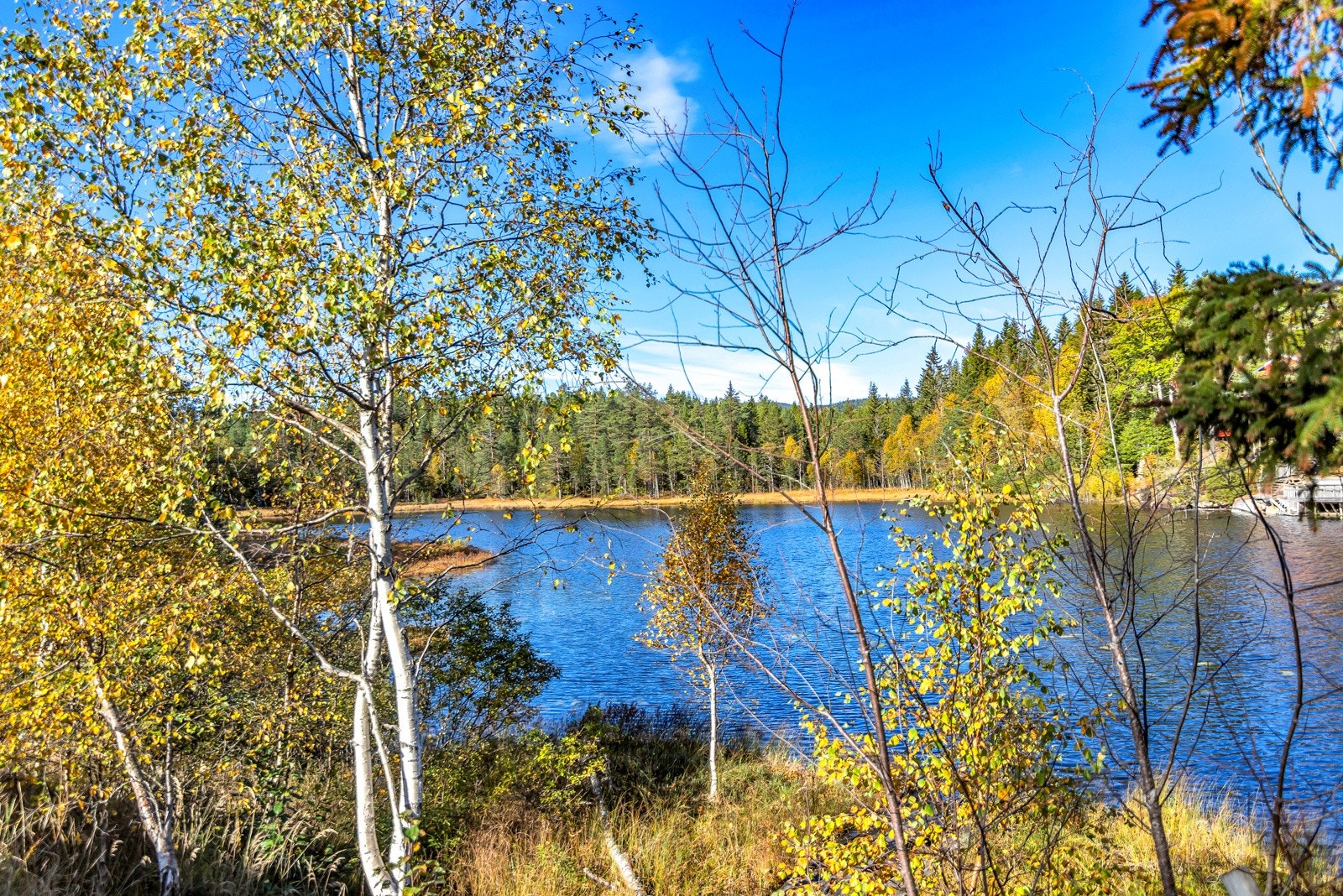 Nærområdet byr på flere flotte og idylliske turområder med oppkjørte skiløyper, usjenerte og smale turstier, og flere skogsvann med fiskemuligheter. Galleribilde