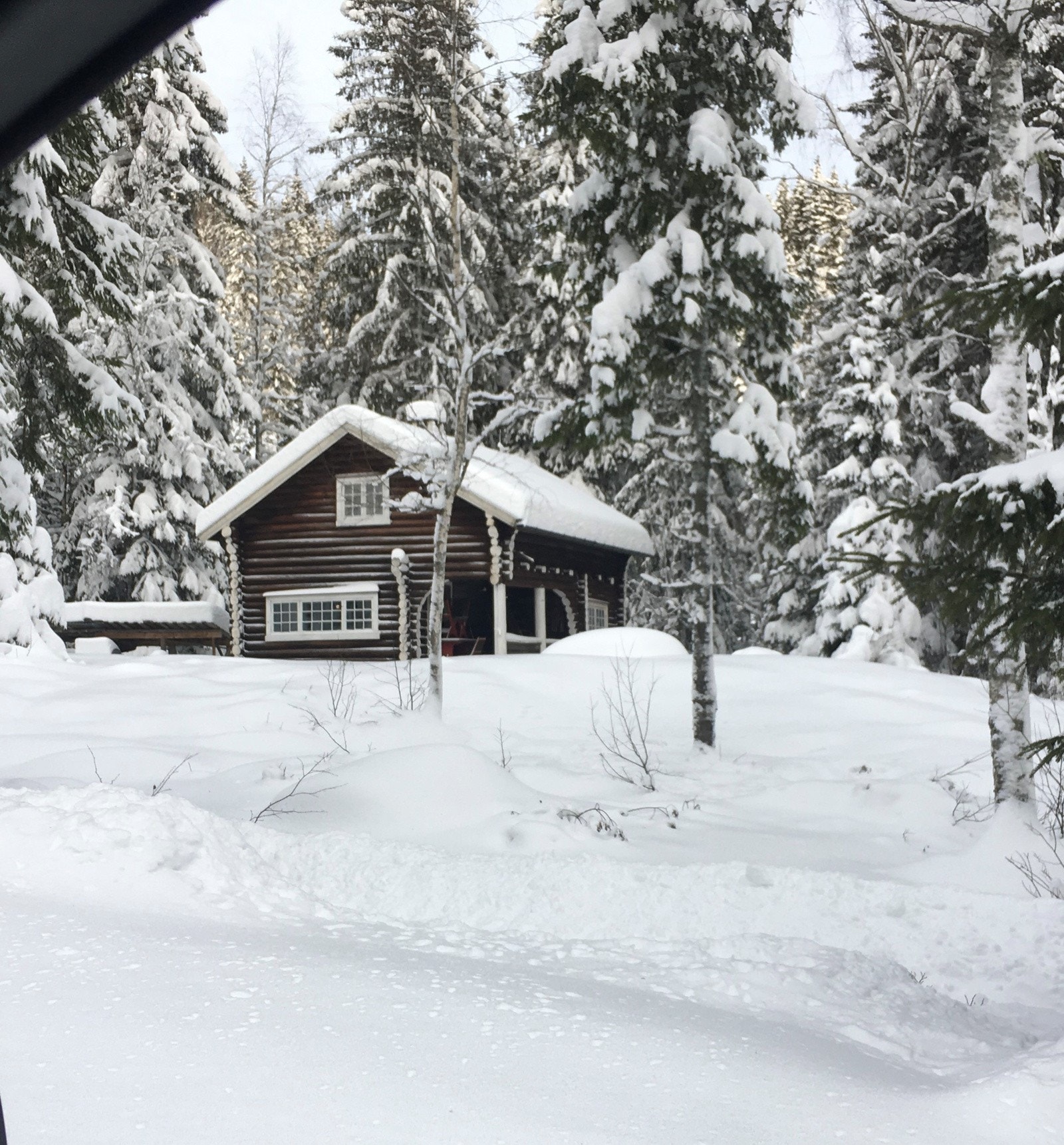 Selgers bilde. Galleribilde