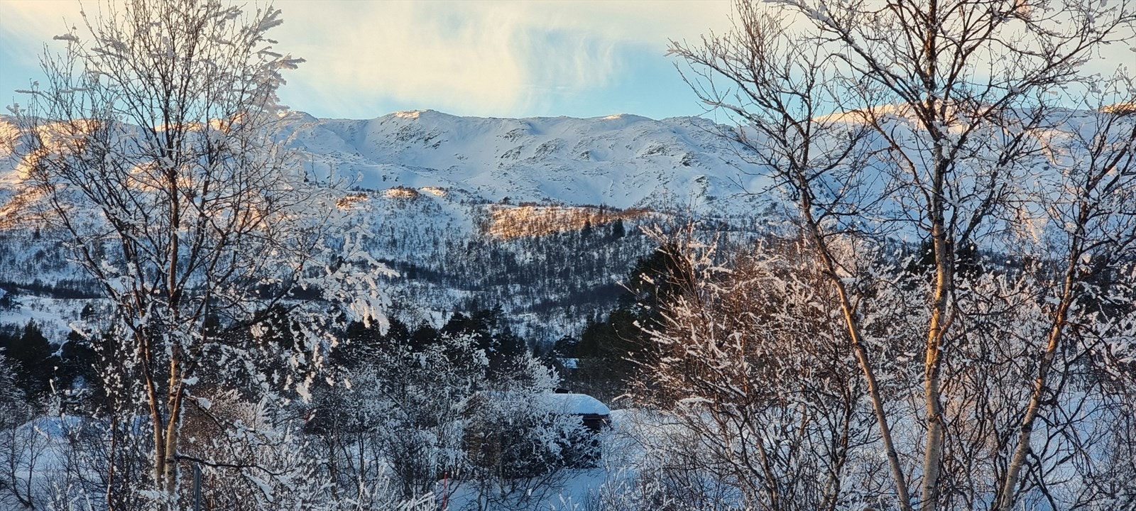 Fjellheim rundt hytta (Foto fra selger) Galleribilde