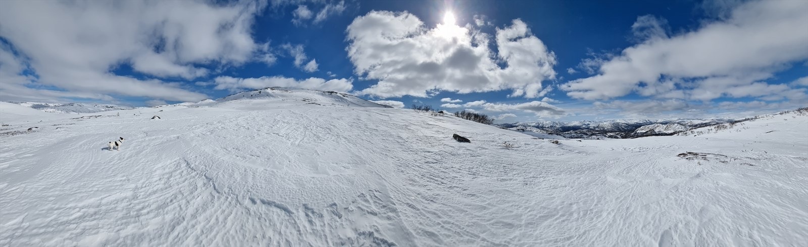 30 minutter på ski fra hytta (Foto fra selger) Galleribilde