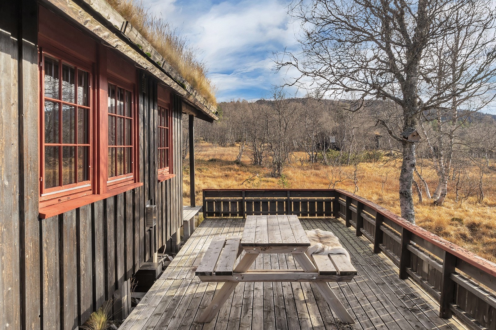 Oppkjørte skiløyper like i nærheten Galleribilde