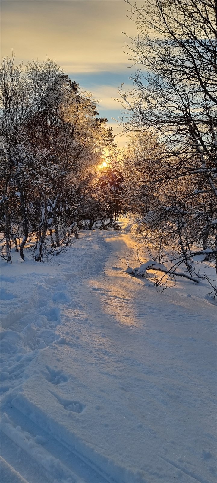 Vinteridyll på det fineste! (Foto fra selger) Galleribilde