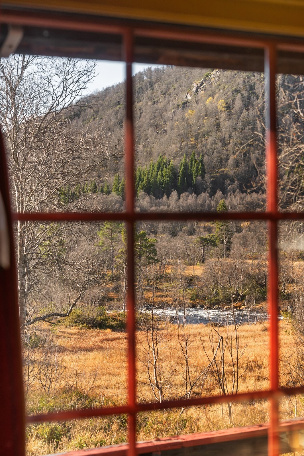 Naturskjønne omgivelser like utenfor hyttevinduet Galleribilde