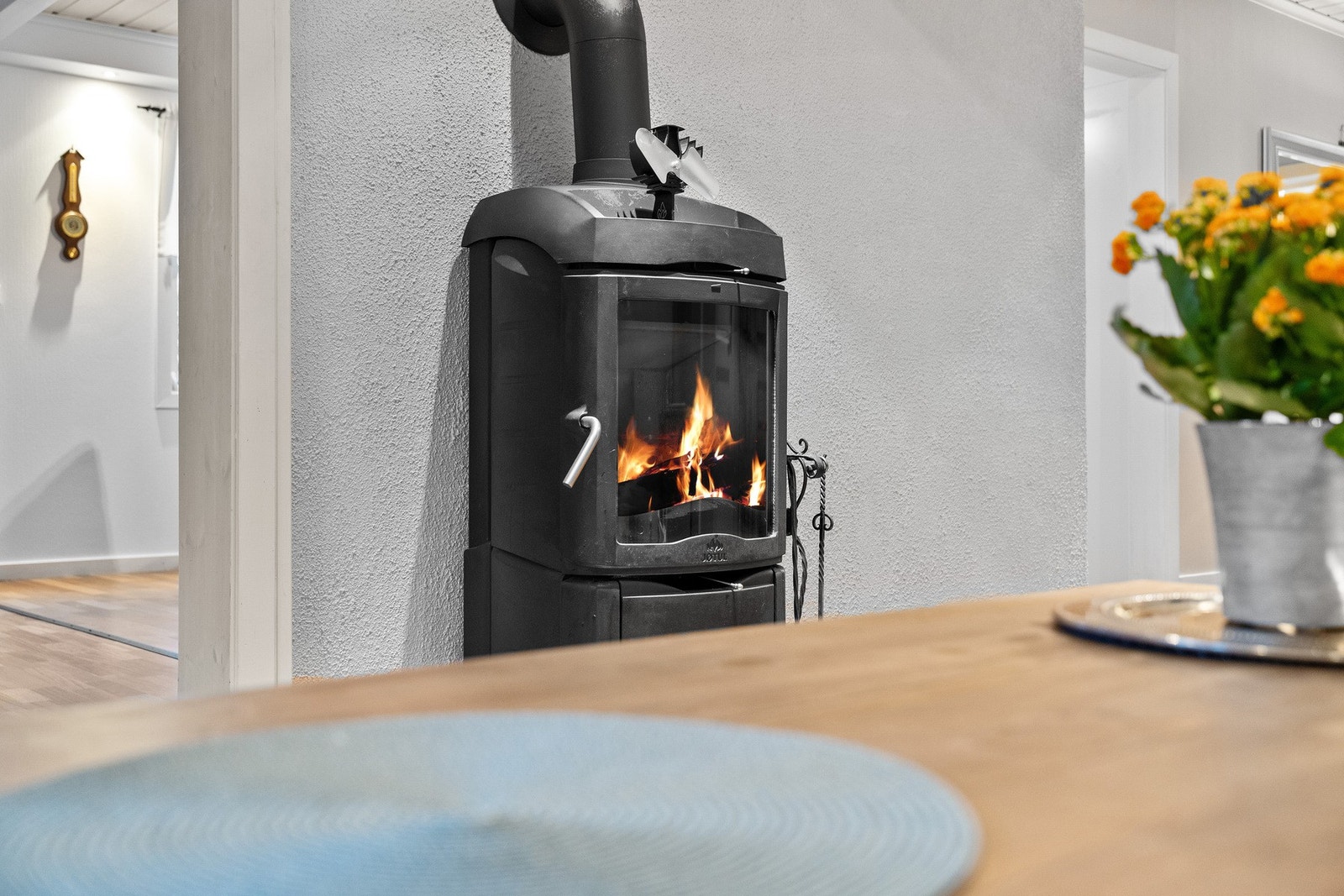 Vedovn med glassdør i stuen Galleribilde