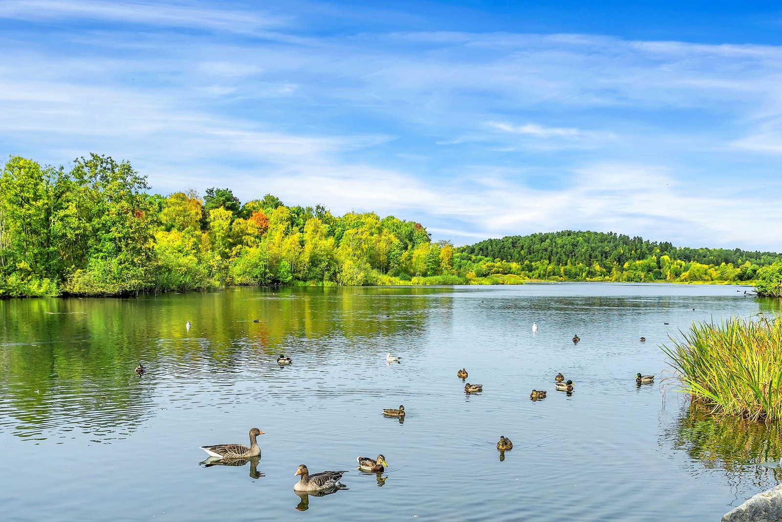 Østensjøvannet er et av bydelens mest brukte tur- og rekreasjonsområder, og anbefales med sine flotte turstier og rike fugleliv, med over 200 forskjellige fuglearter Galleribilde