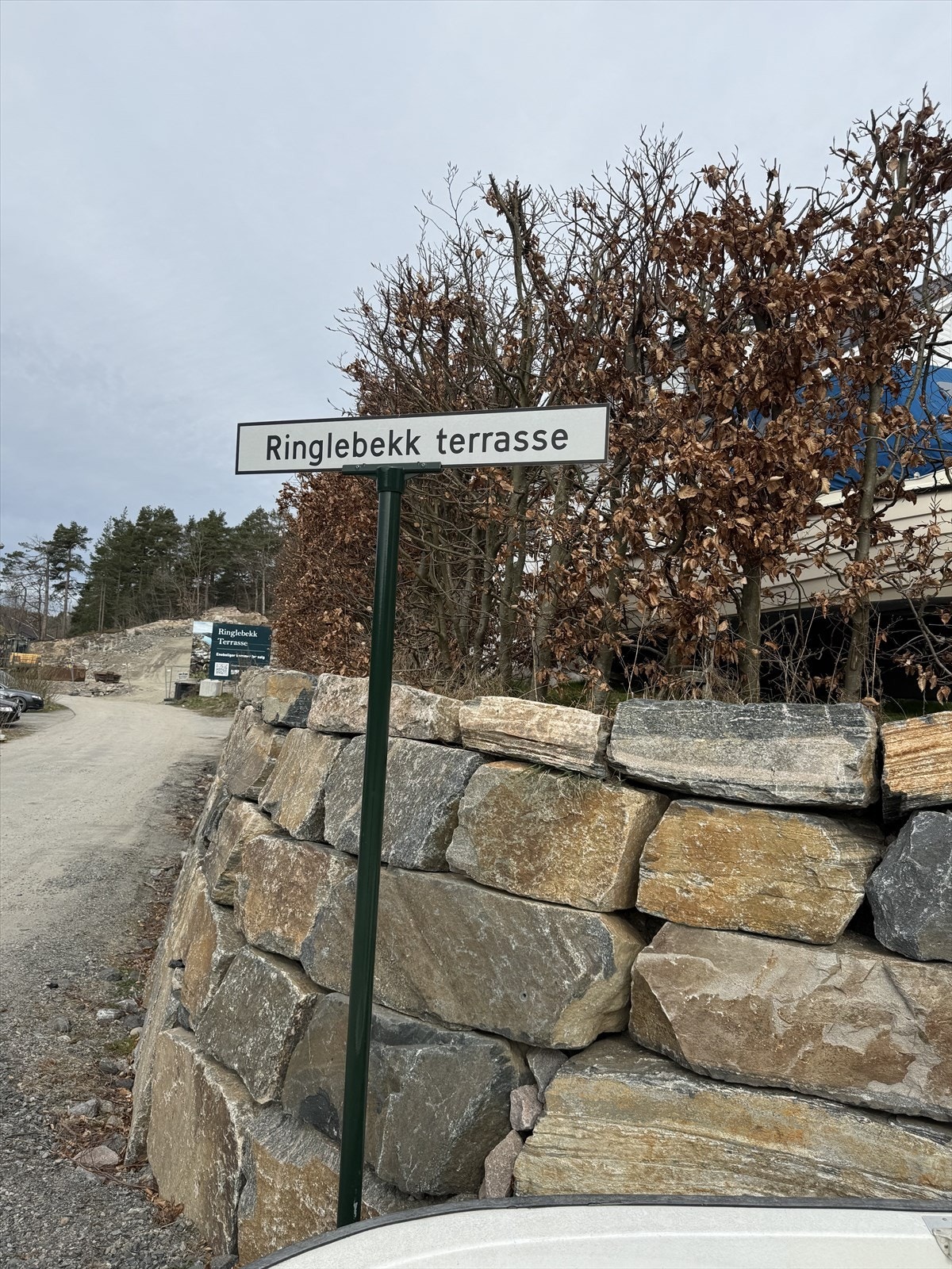 IMG_4364.jpeg Galleribilde