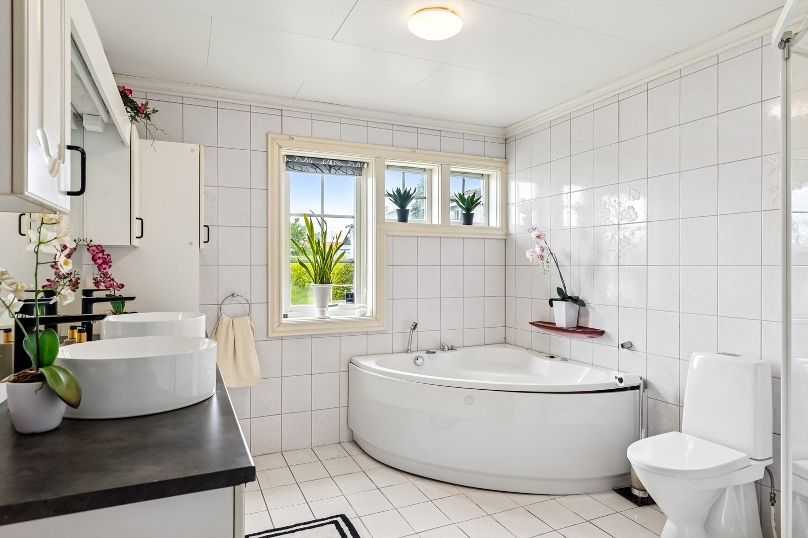 Bad hovedplan. Galleribilde