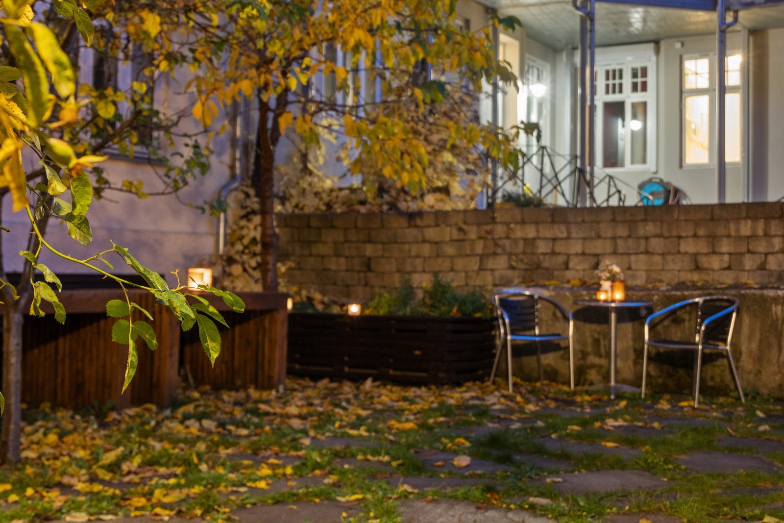 Pent opparbeidet bakgård. Galleribilde