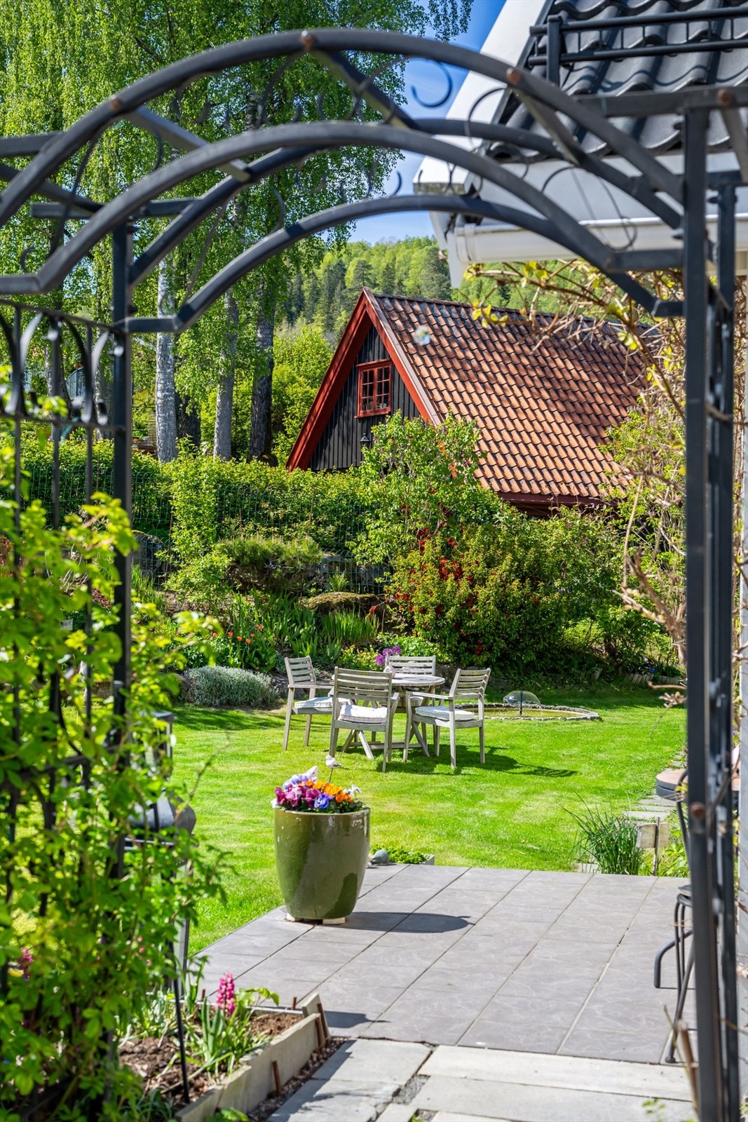 Privat bilde fra hage. Galleribilde