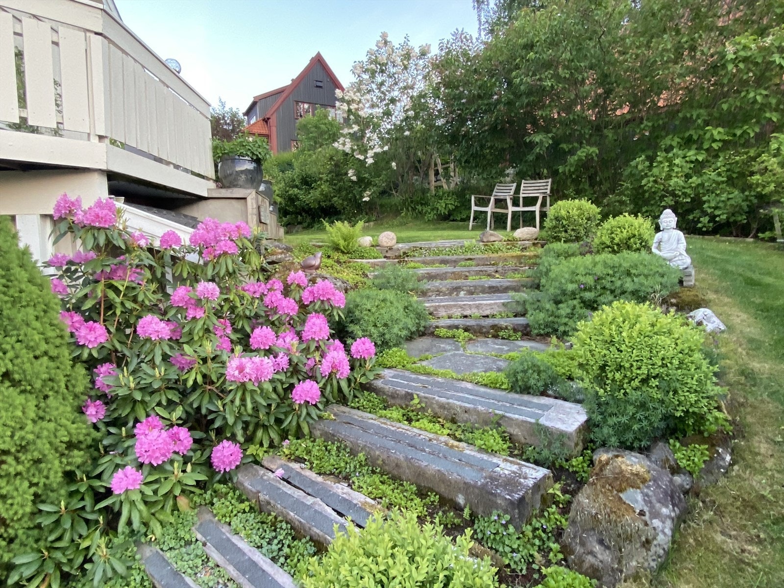 Privat bilde fra hage. Galleribilde
