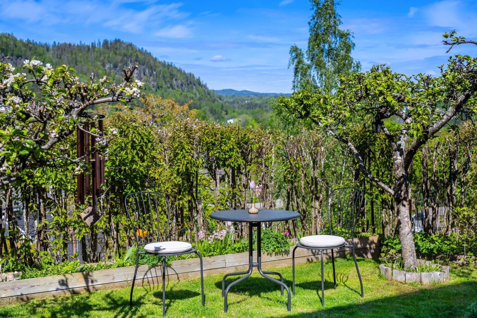 Privat bilde fra hage. Galleribilde