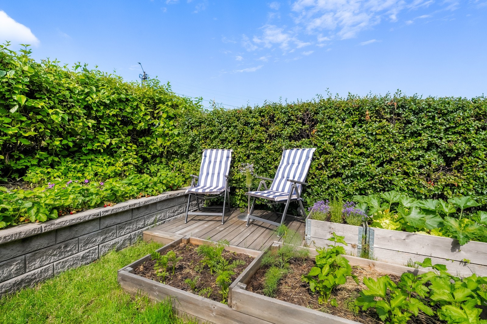 I hagen er det etablert blomsterkasser og bedd, noe som gir gode mulighet for å dyrke selv. Galleribilde