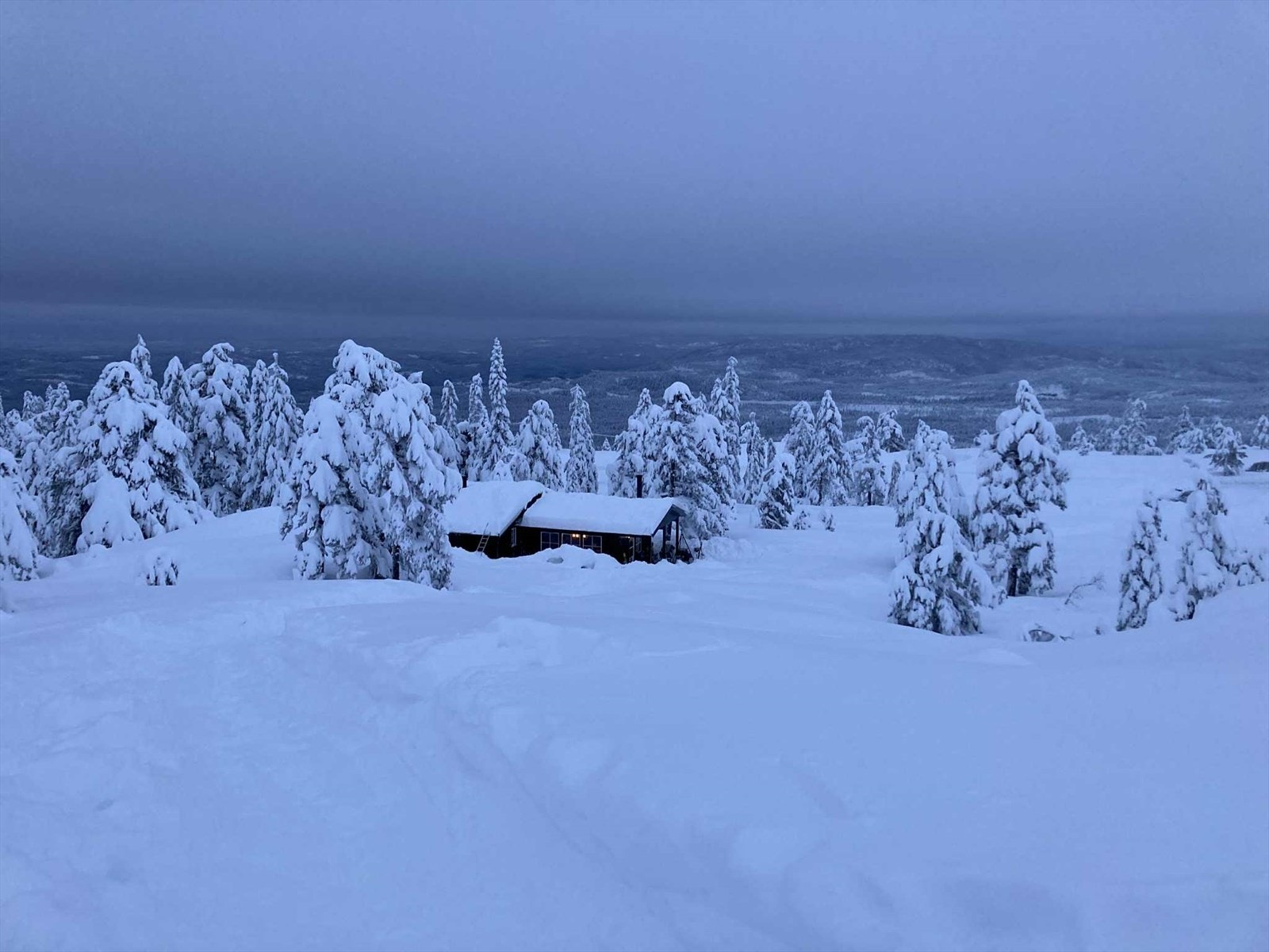 Privat bilde: Flott vinterlandskap. Galleribilde