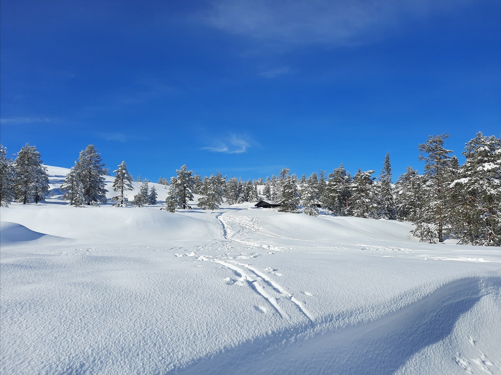 Privat bilde Galleribilde