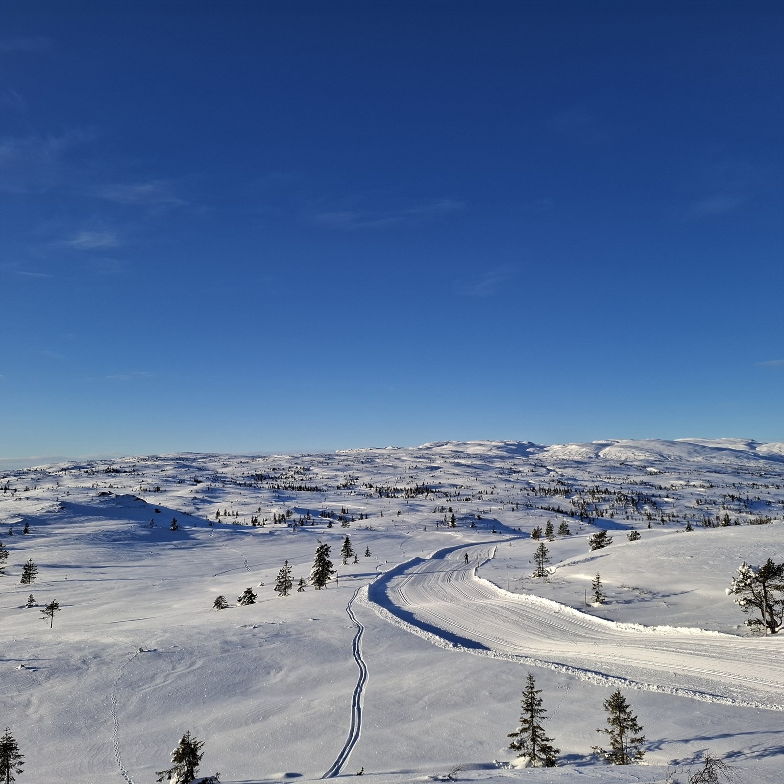 Privat bilde: Blefjell kan friste med flotte skiløyper! Galleribilde