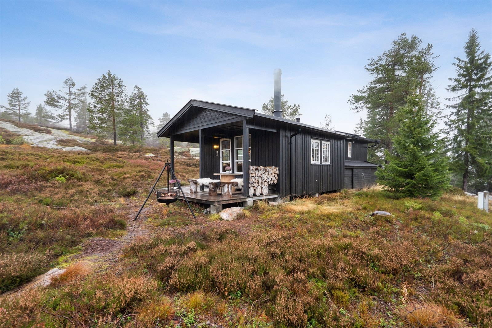 Fin naturtomt rundt hytta. Galleribilde