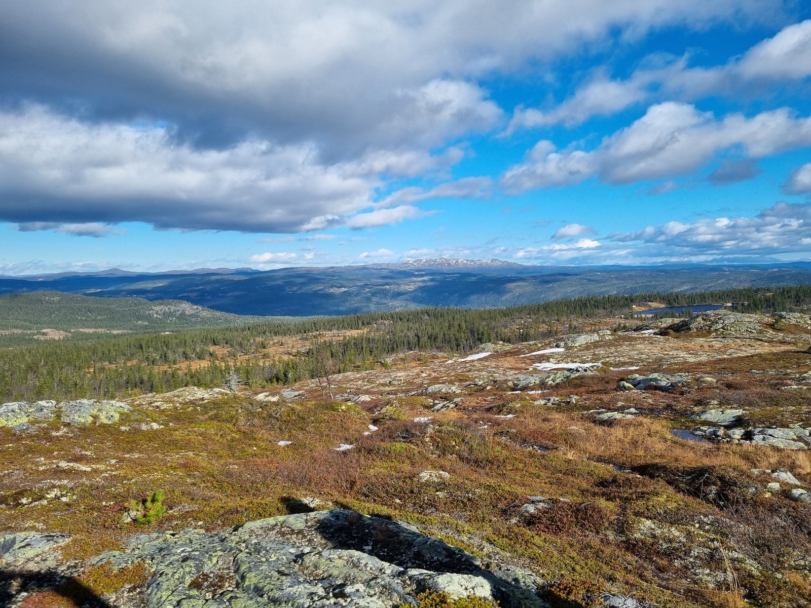 Utsikt mot Spåtind fra tursti Galleribilde