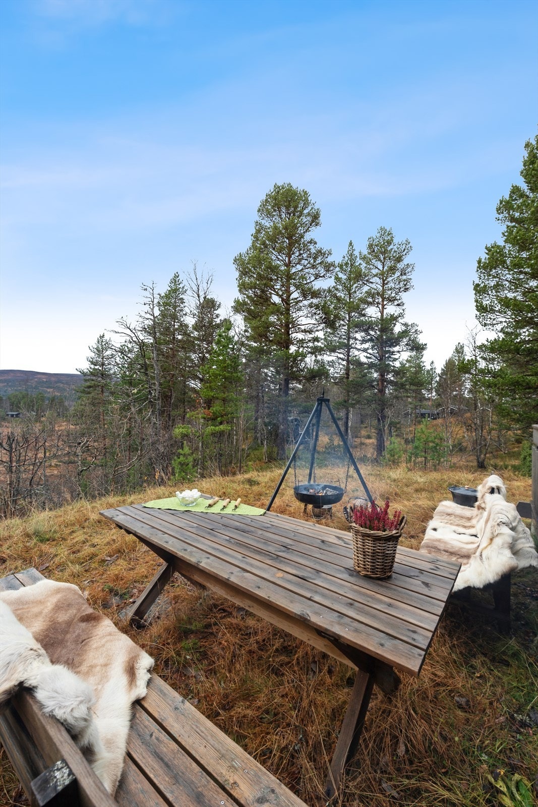 Flott uteområde Galleribilde