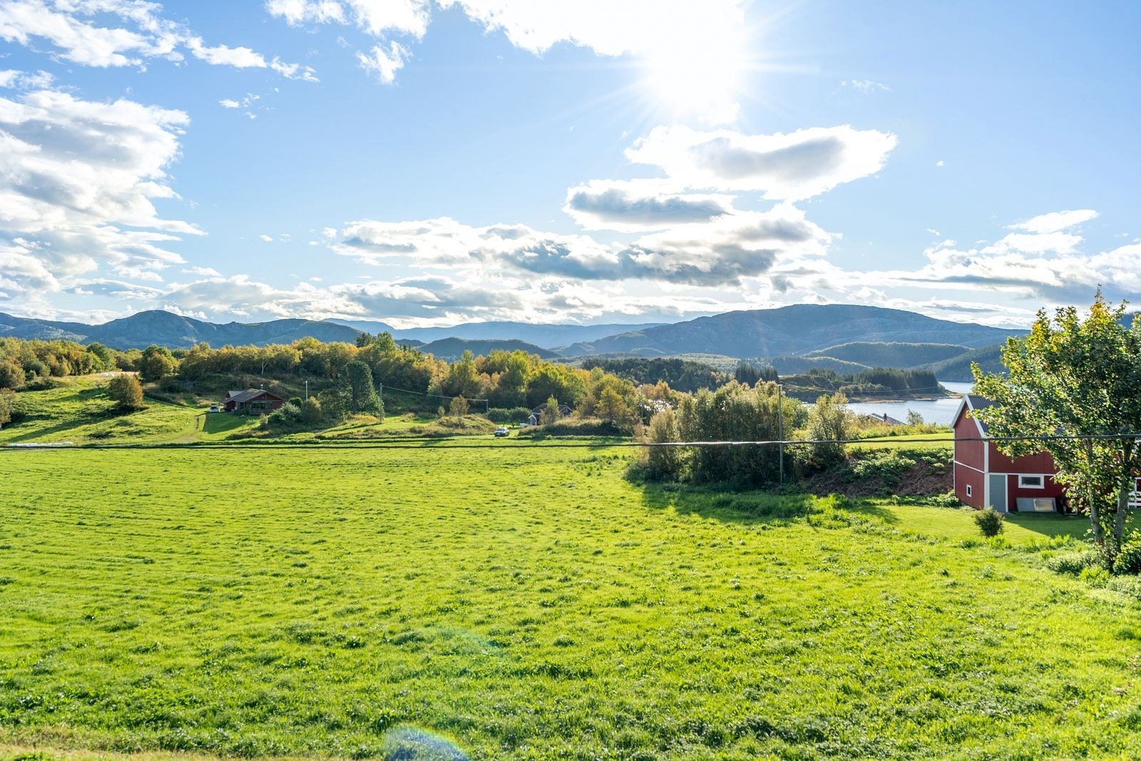 Mot vågsvågjen. Galleribilde