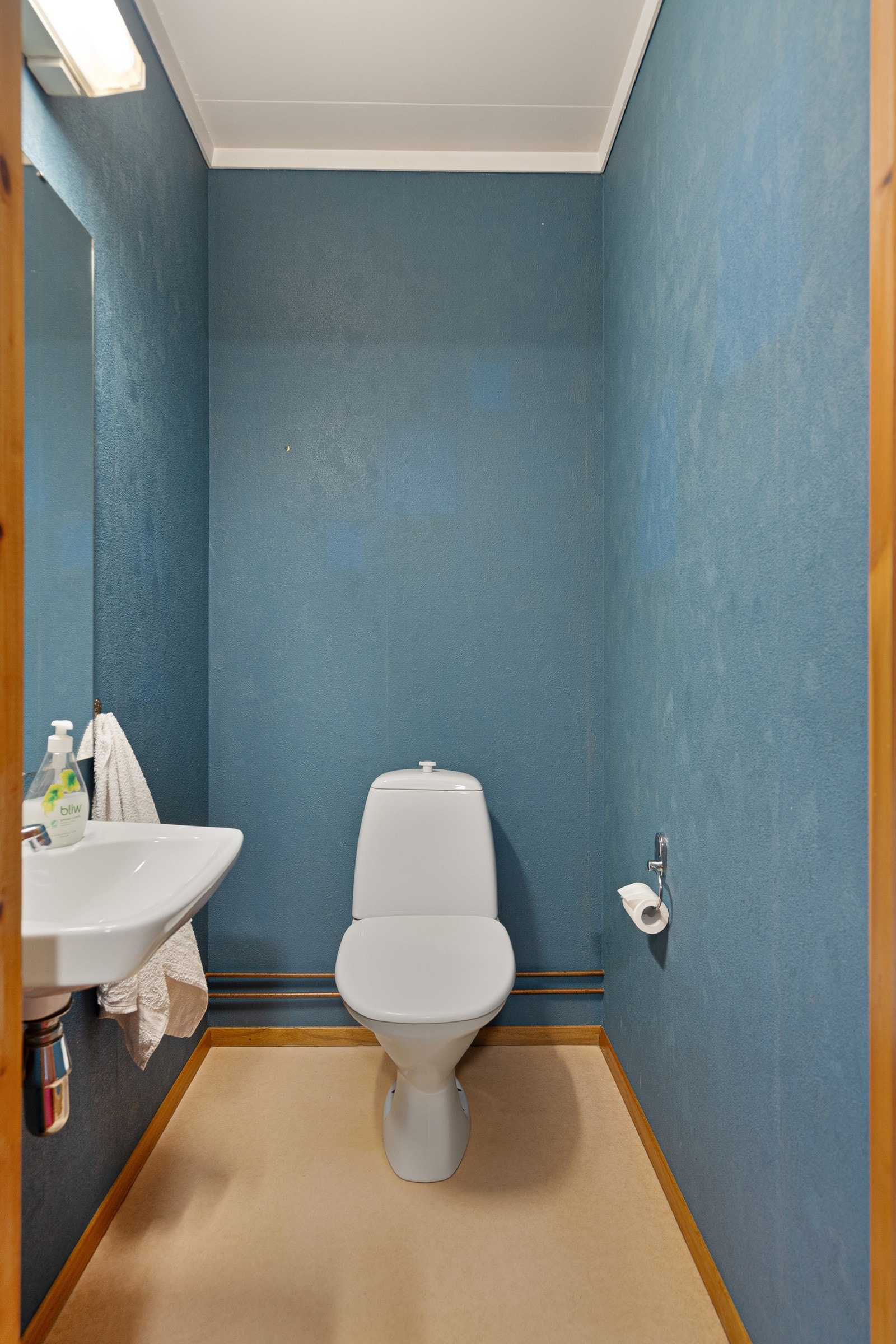 Separat toalett Galleribilde