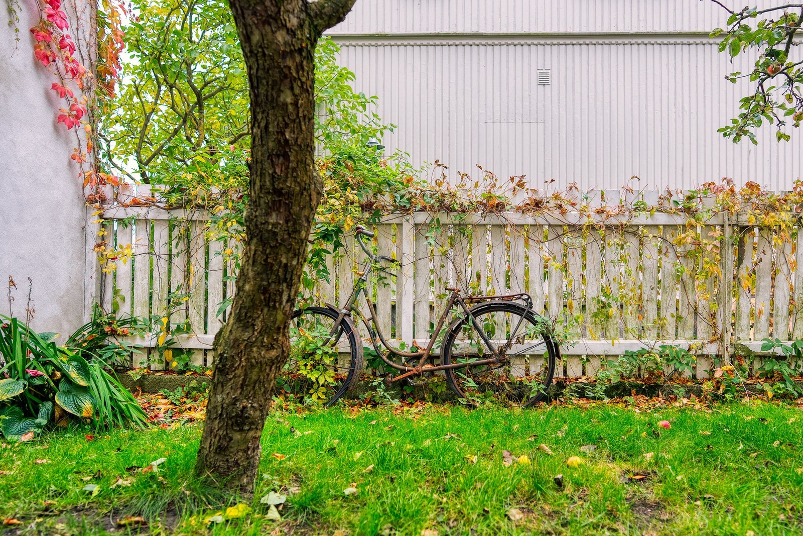Fra den lille eplehagen syd på tomten, en skjermet og trivelig uteplass utenfor stuen i hovedboligen. Galleribilde