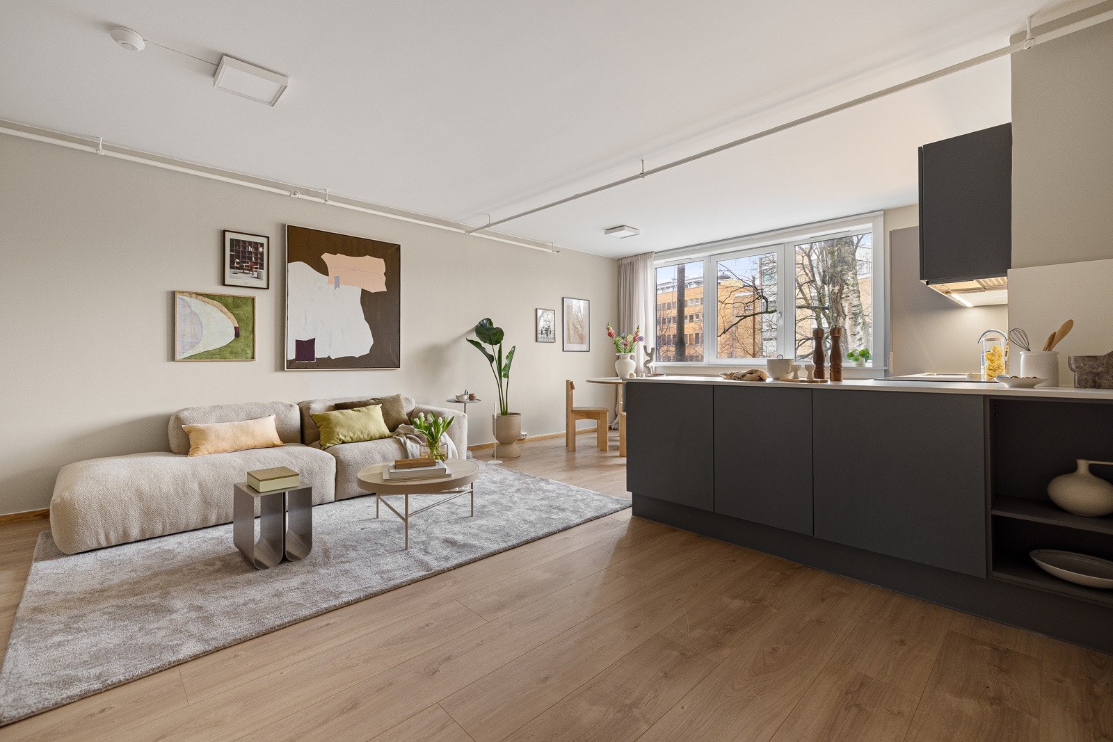 Mye lys inn i leiligheten. Galleribilde