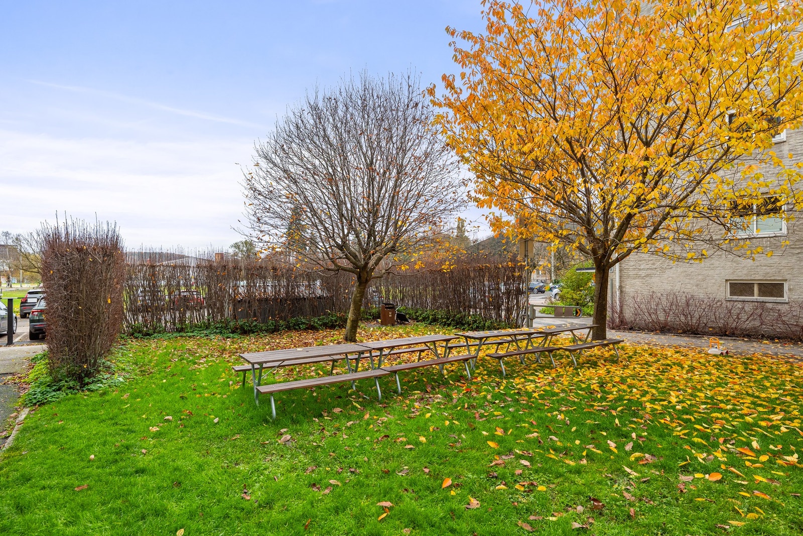 En hyggelig og skjermet uteplass Galleribilde