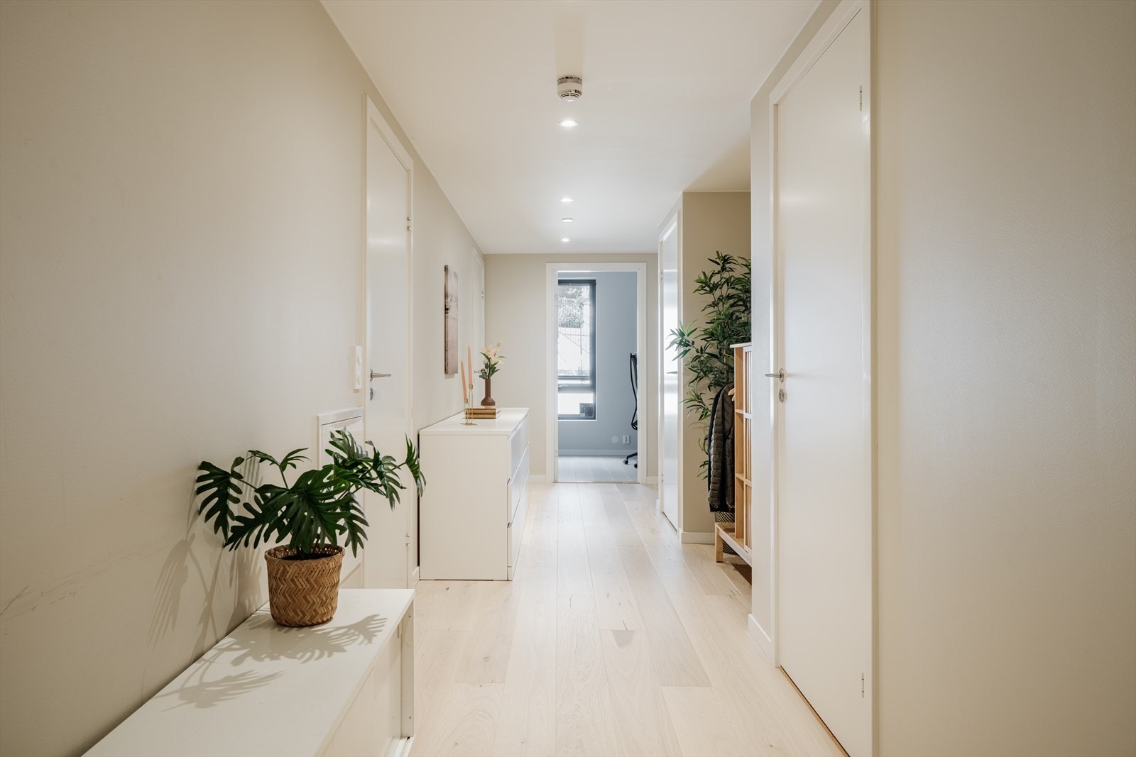 Romslig entré med plass for klesoppheng og oppbevaring av sko. Galleribilde