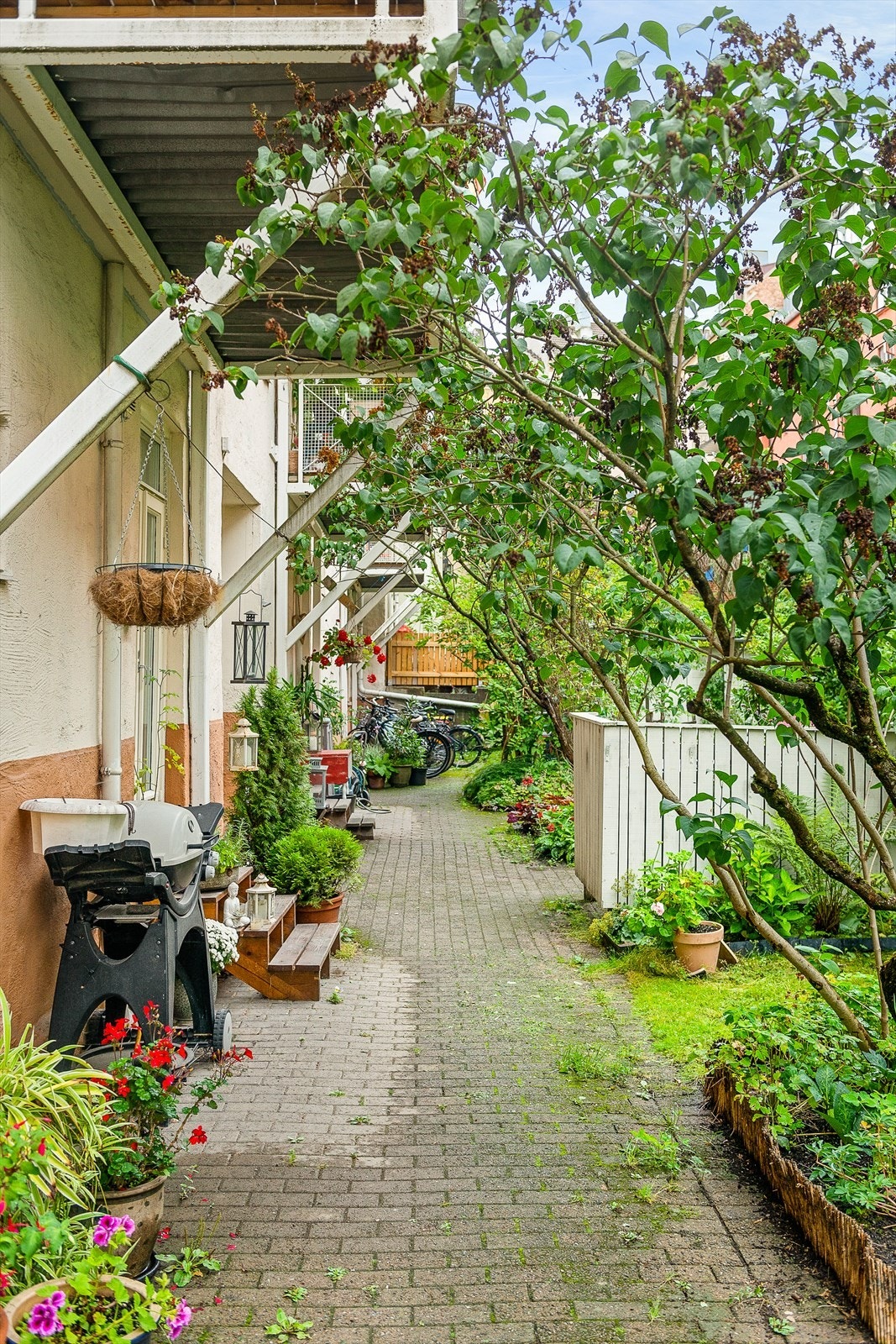 Bakgård Galleribilde
