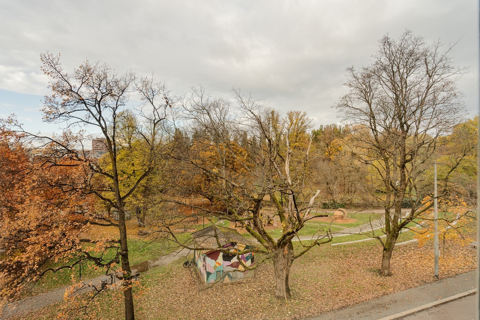 Utsikt til botanisk hage fra stuen/kjøkkenet Galleribilde