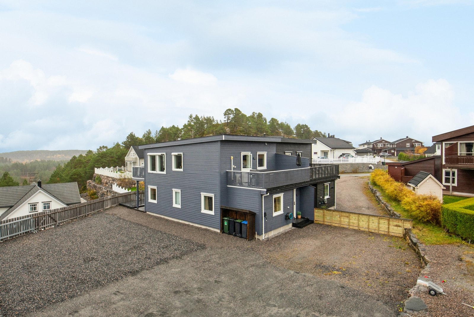 Velkommen til visning ! Galleribilde