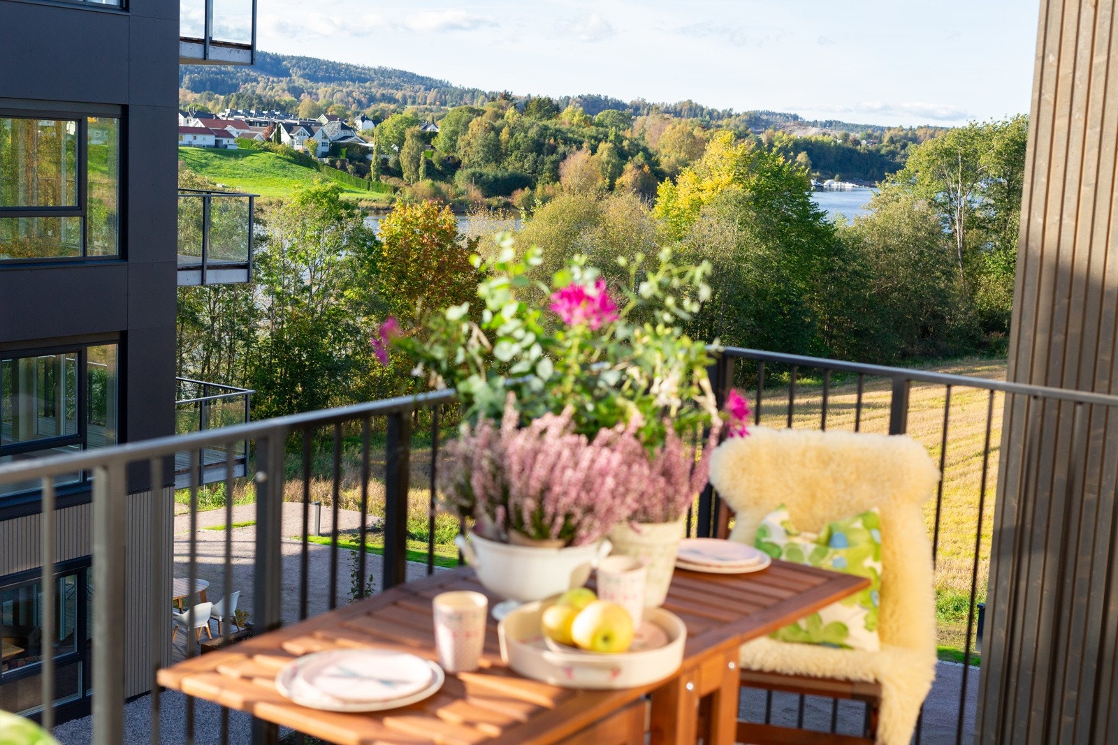 Fin utsikt mot elva Galleribilde