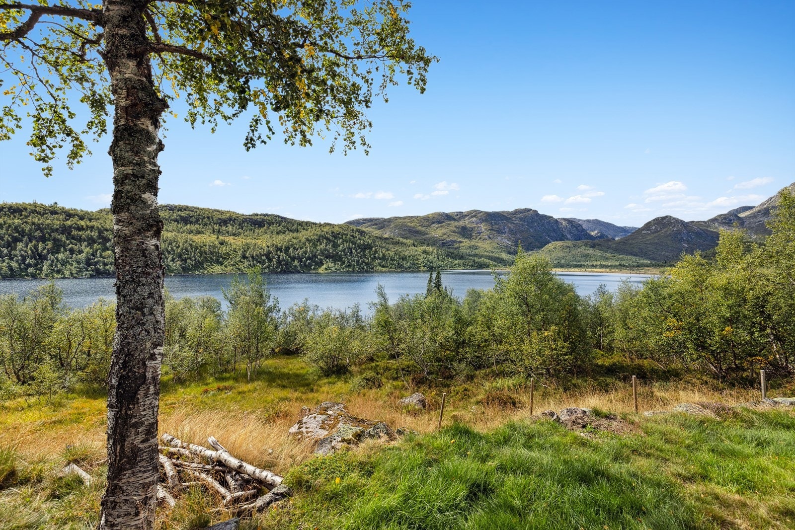 Flott utsikt ut mot Strandstøylsdals vatnet, det er tur sti ned til vannet med en fin plass der du kan sette ut båten. Galleribilde