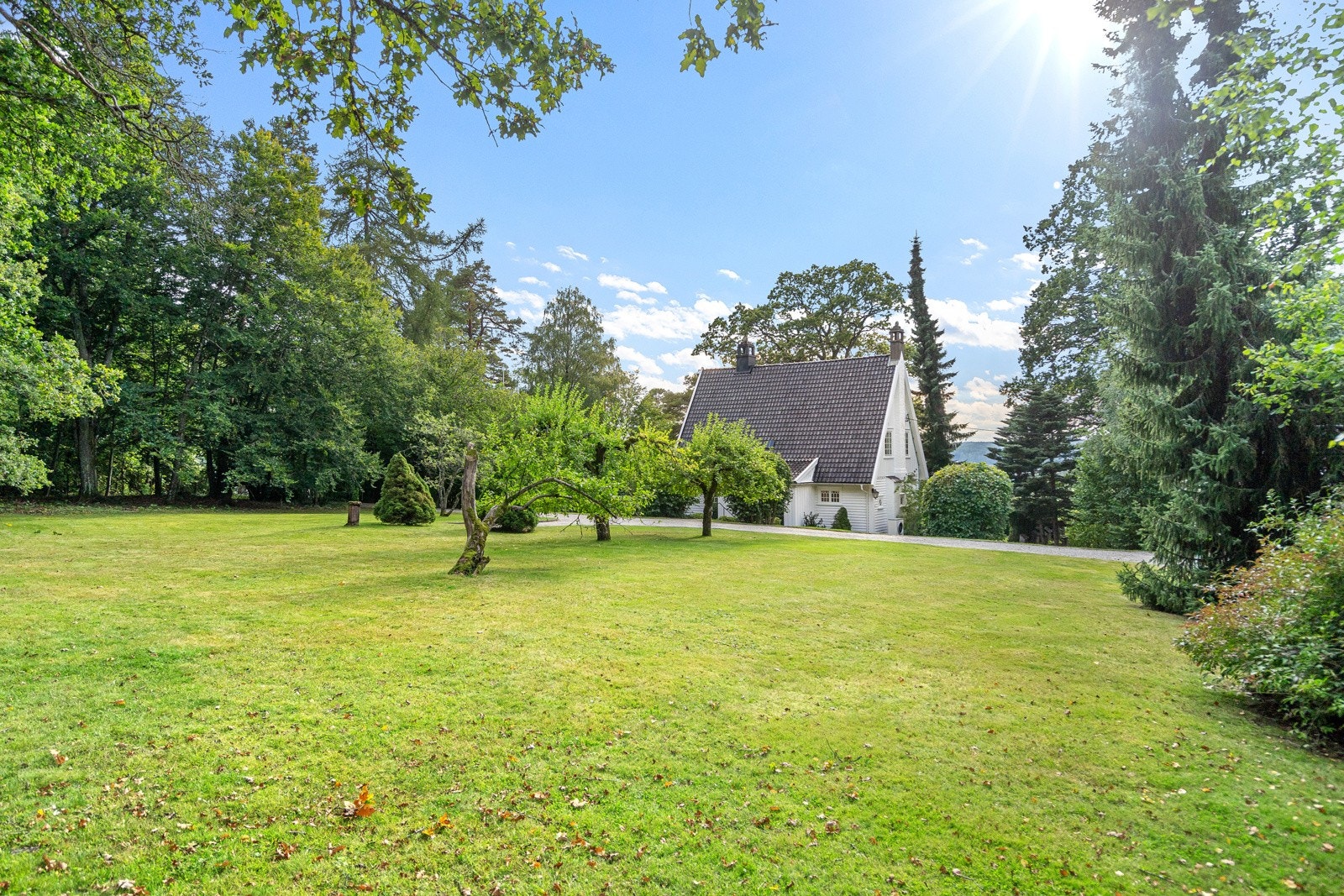 Stor tomt på hele 6 mål Galleribilde