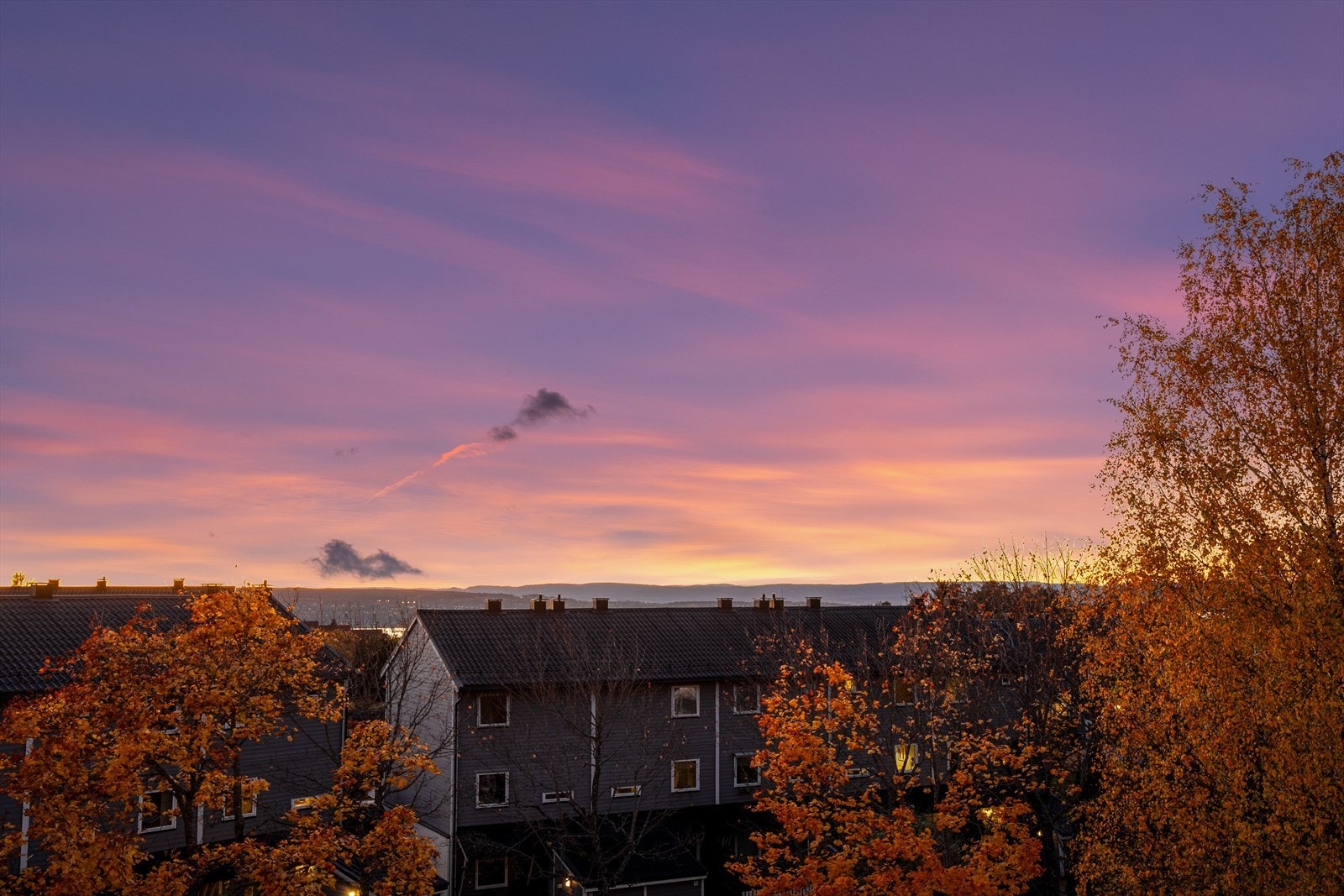 Med nærhet til skog og mark er det rikelig med turmuligheter året rundt, med tilgang til Østmarka. Galleribilde