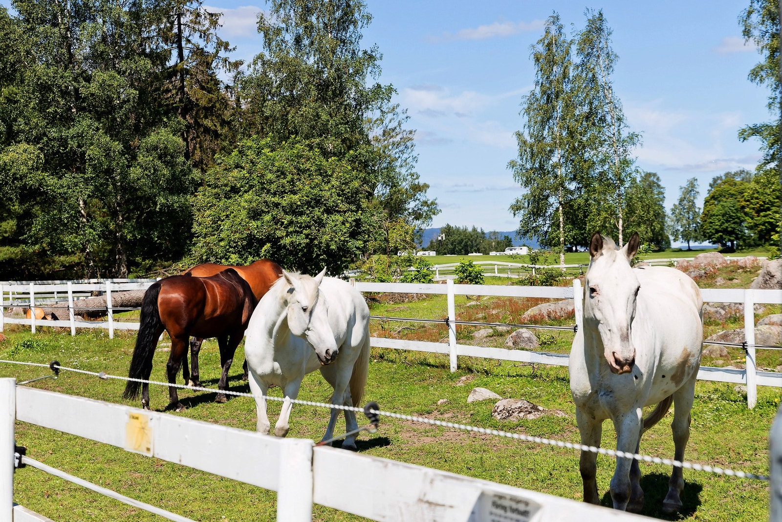 EKT Rideskole og Husdyrpark er en sjarmerende møteplass for både store og små. Galleribilde