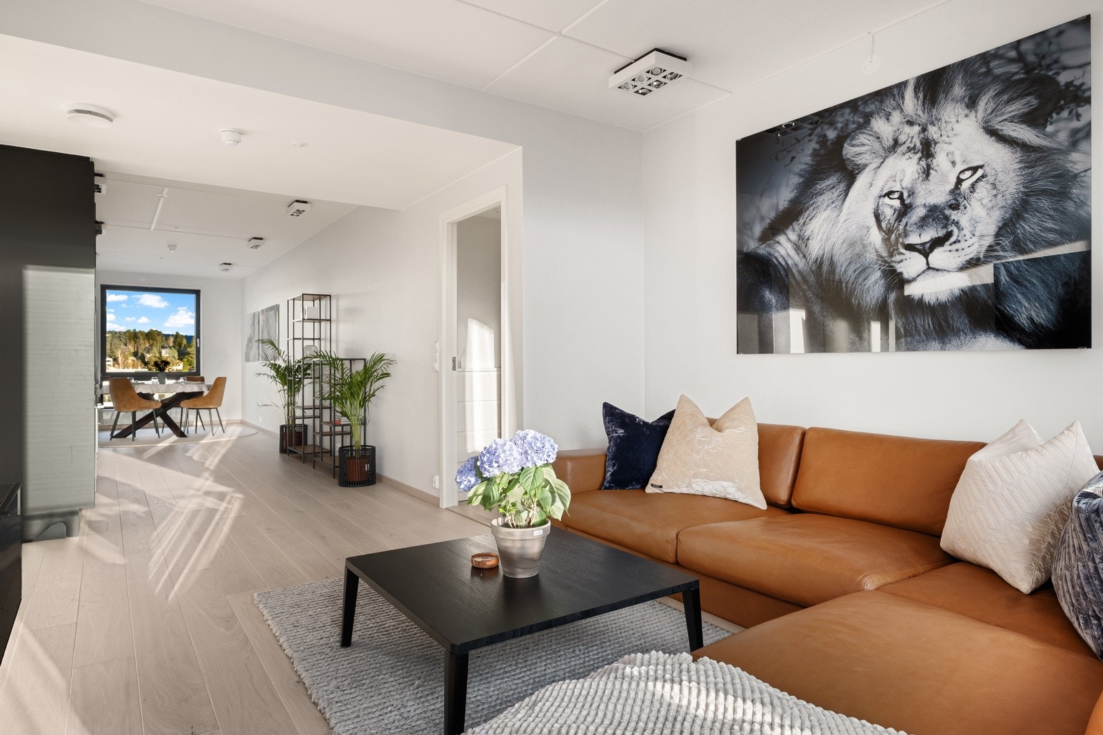 Gjennomgående leilighet fra 2023. Galleribilde