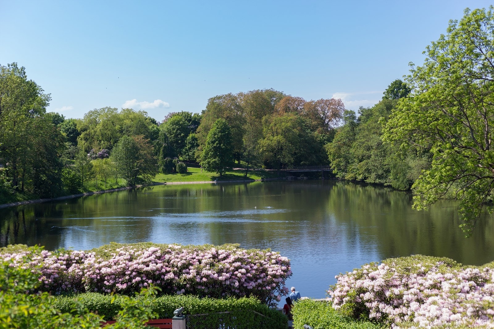Frognerparken Galleribilde