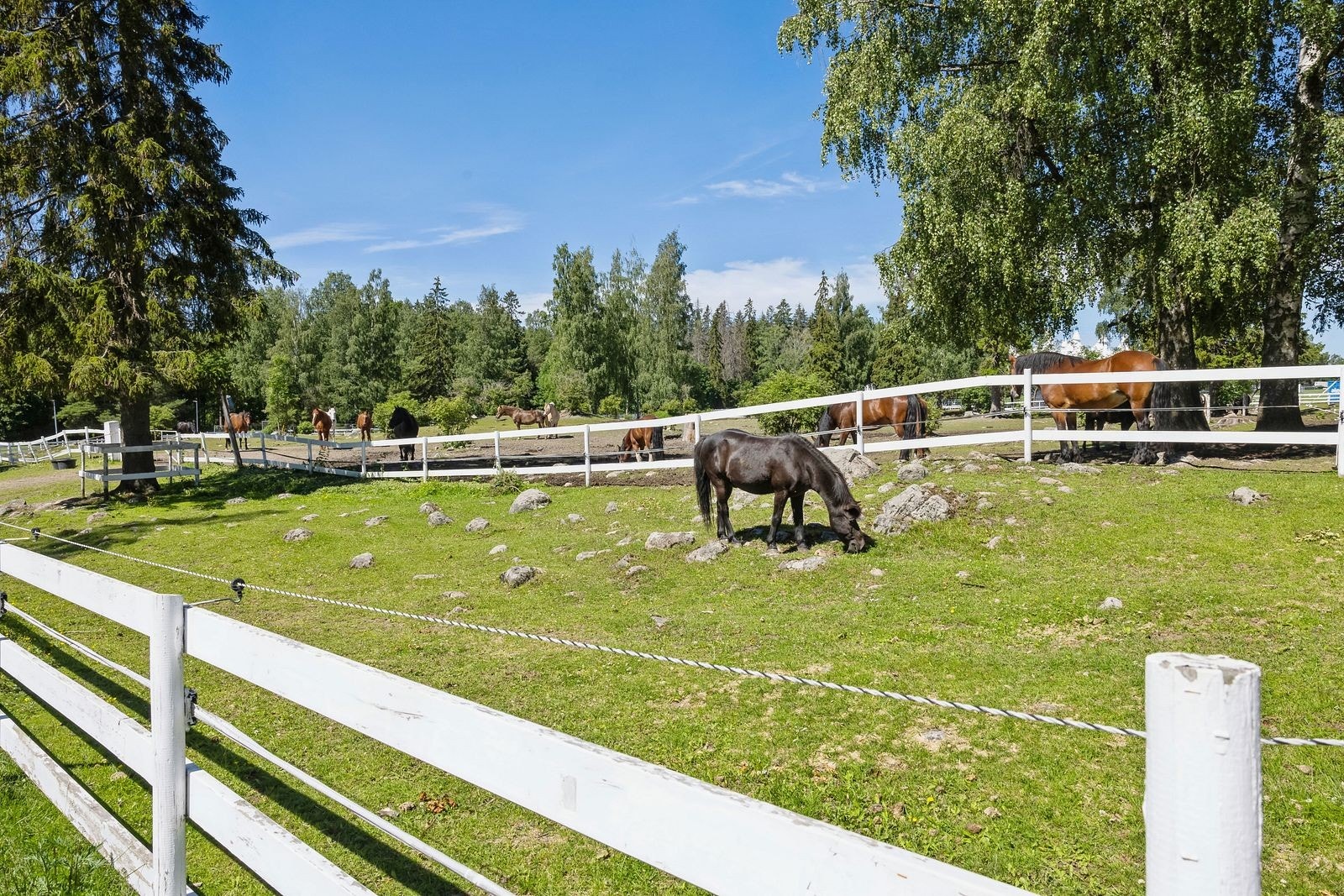 EKT Rideskole og Husdyrpark Galleribilde