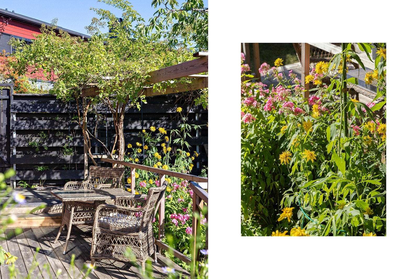 Innbydende hage med blomster og diverse beplanting. Plass til en liten sittegruppe. Galleribilde