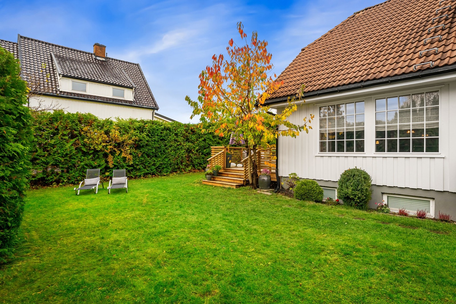 Hagen er solrik og pent beplantet med busker, trær og store plenarealer. Galleribilde