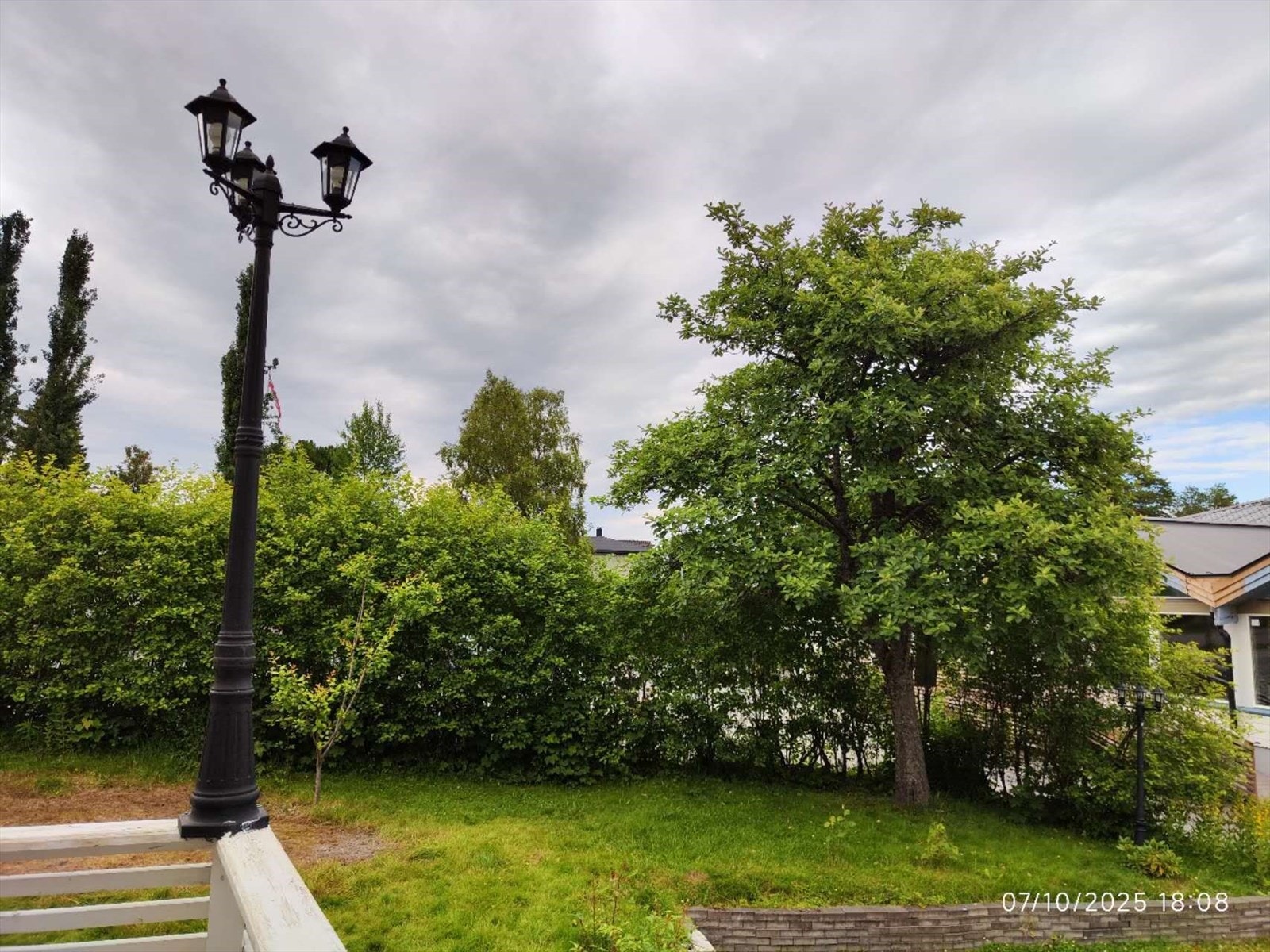 Selgers eget bilde Galleribilde