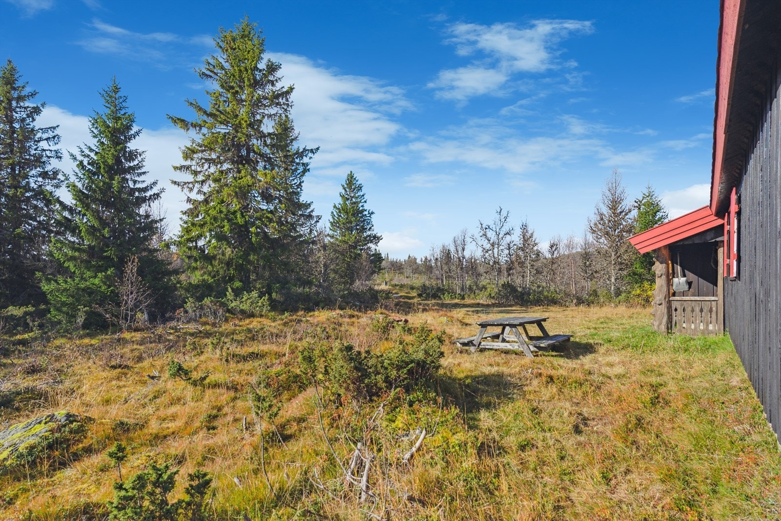 Parkering skjer i egen innkjørsel. Galleribilde