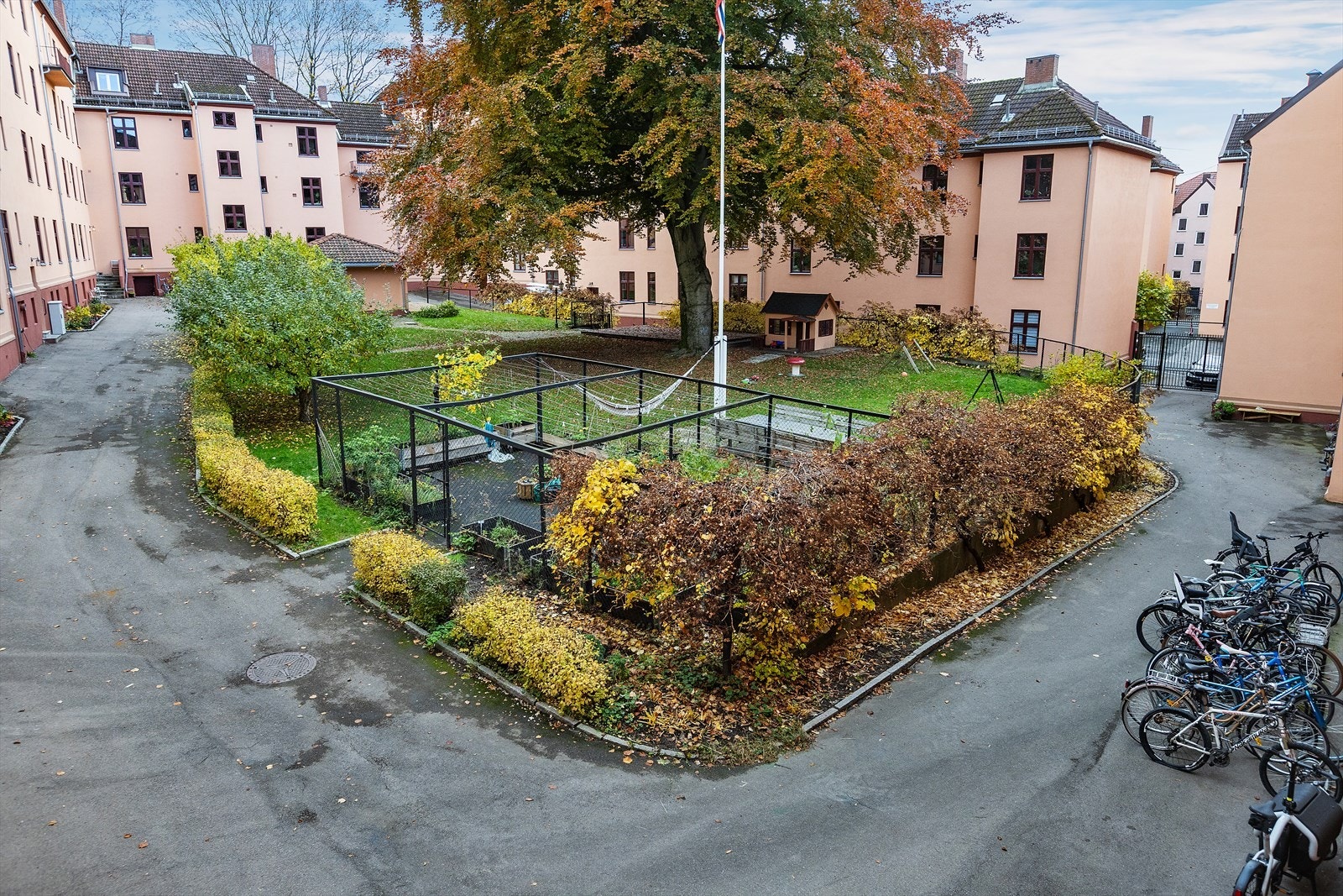 Hyggelig og frodig bakgård. Galleribilde
