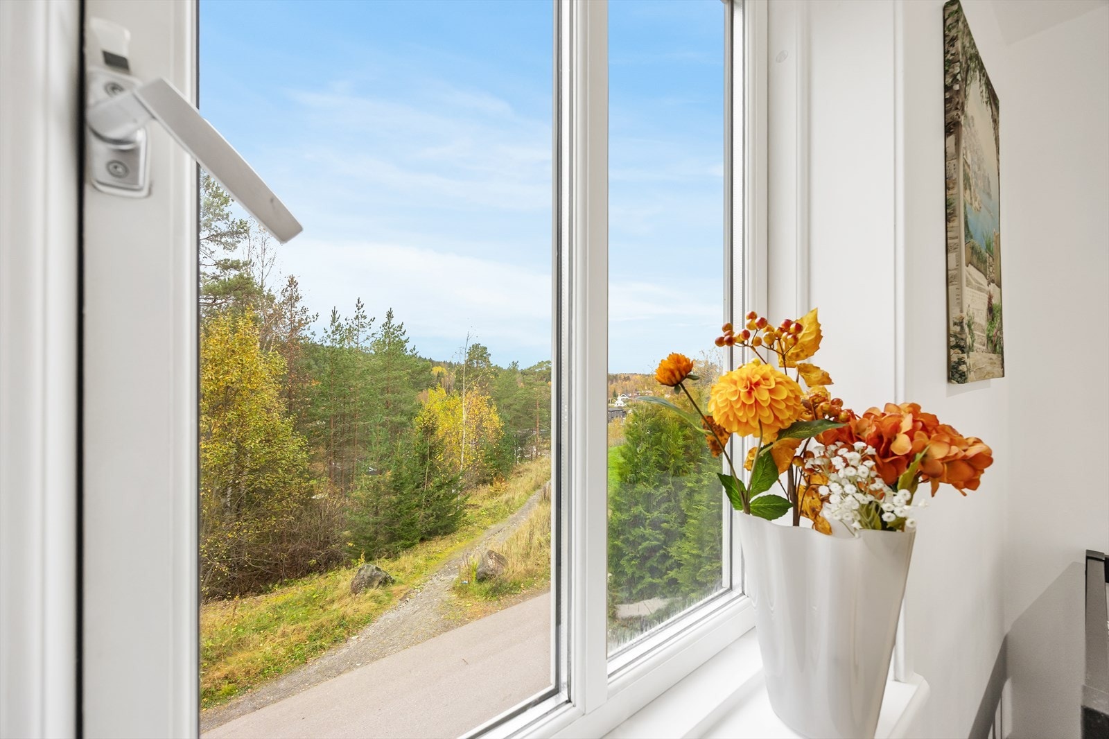 Hyggelig utsyn. Galleribilde