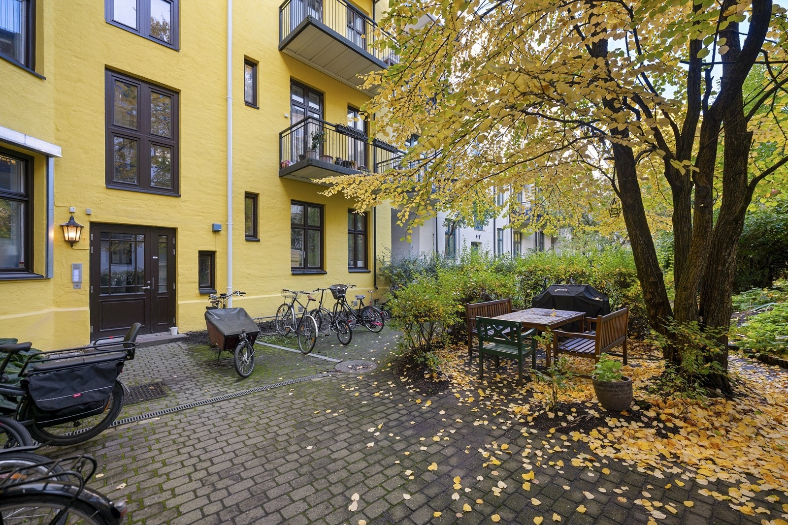 Bakgården er sosial og frodig, og oppleves som en privat park for beboerne. Galleribilde